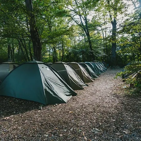 Oktoberfest On A Budget